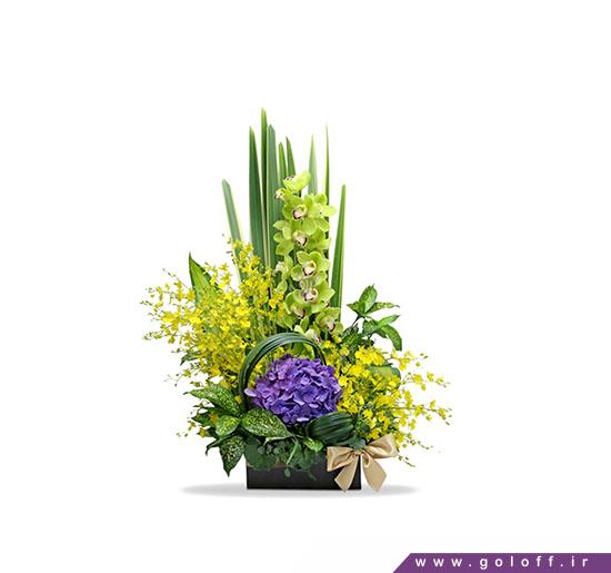 فروش گل آنلاین - گل خواستگاری احساس ناب - Proposing Flower | گل آف